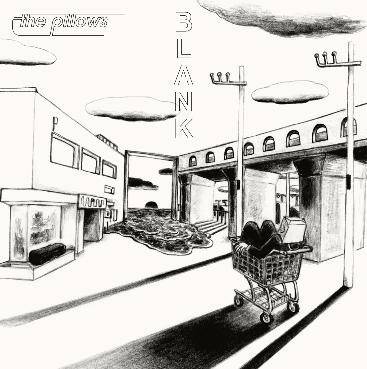 the pillows Blank EP Zip 